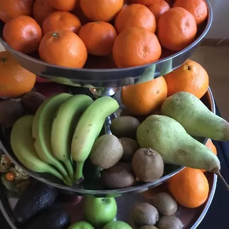 Zum Berggarten Hotel