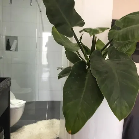 Zum Berggarten Hotell Kassel