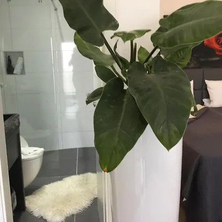 Zum Berggarten Kassel