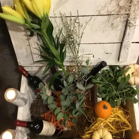 Zum Berggarten Kassel