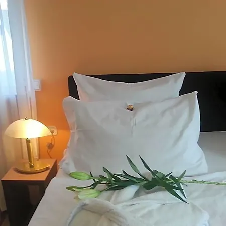 Zum Berggarten Hotel 3*