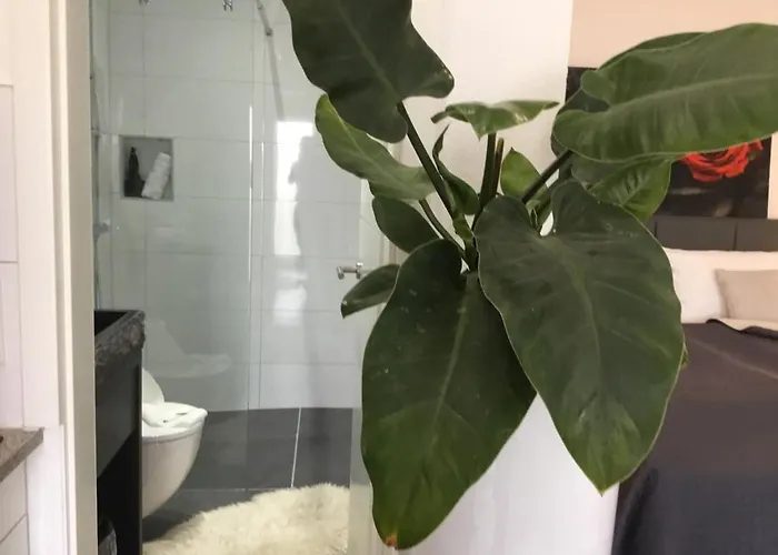 Zum Berggarten Hotel Kassel