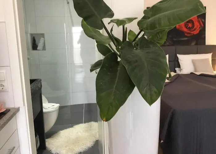 Zum Berggarten Kassel