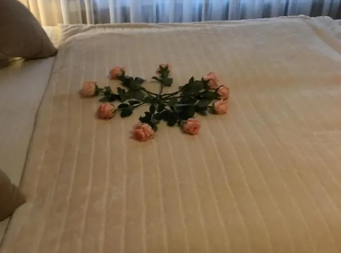 Hotel Zum Berggarten Kassel