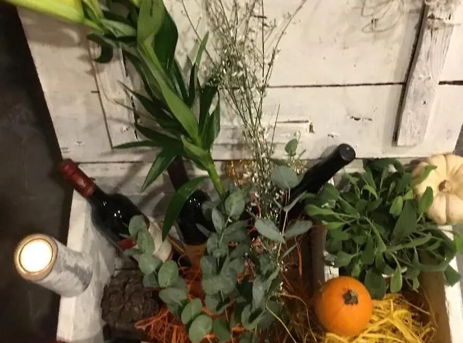 Zum Berggarten Kassel